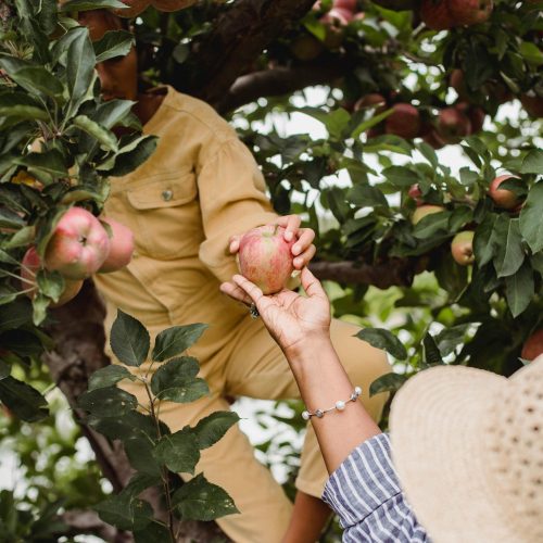 pexels-zen-chung-5529007